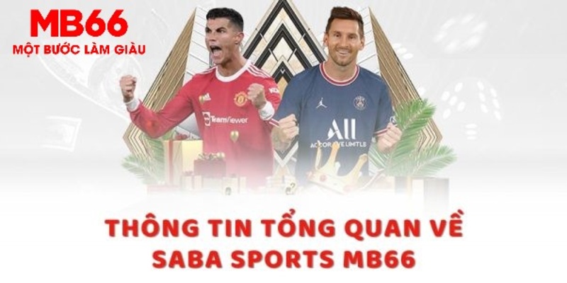 cwin666 8 bí ẩn chơi nổ hũ ít ai biết
