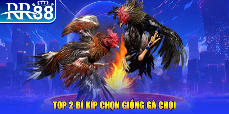 cwin666 bắn cá h5