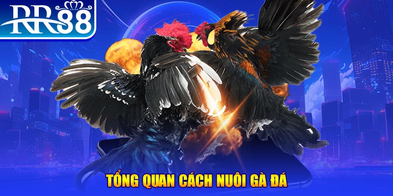 cwin666 xổ số thứ ba