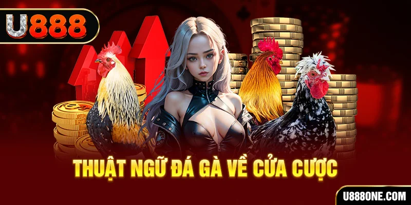 cwin666 da ga 88