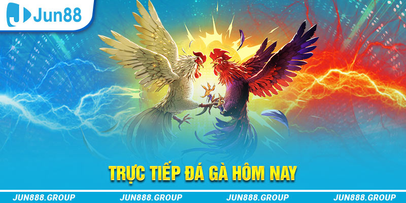 cwin666 trực tiếp đá gà thomo