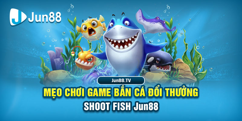 cwin666 tải game đánh bài online về máy tính