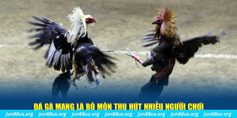 cwin666 xổ số long an
