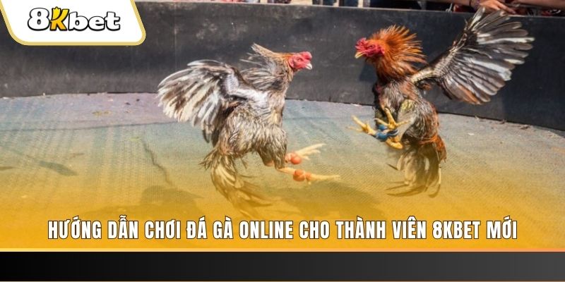 cwin666 nổ hũ đổi thưởng . ai