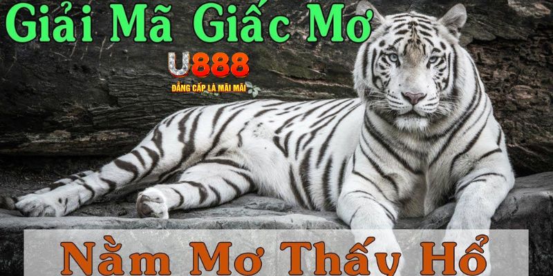 cwin666 Bài Poker Joker