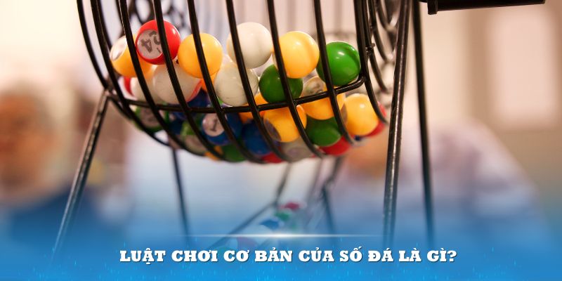 cwin666 Đĩa màu ace
