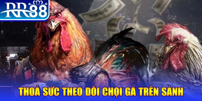 cwin666 casino online là gì