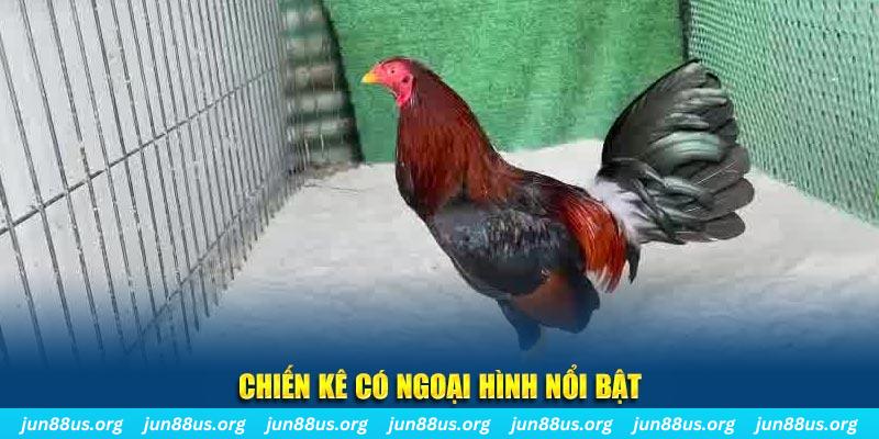 cwin666 nhạc slot là gì
